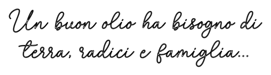 Omridsbillede