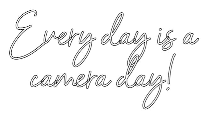 Immagine di contorno