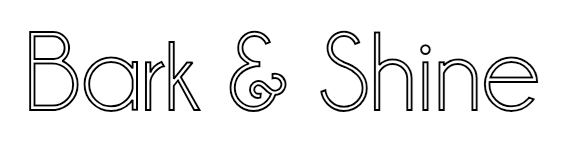 Image de contour