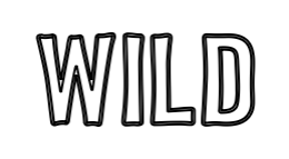 Omridsbillede