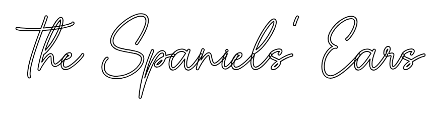 Outline billede