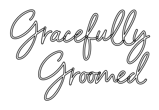 Immagine di contorno