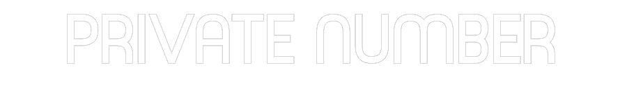 Custom Neon Sign Online Editor PRIVATE NUMBER