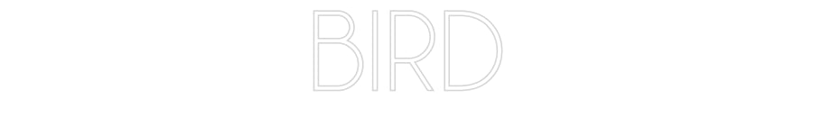 Éditeur en ligne d'enseignes au néon personnalisées BIRD