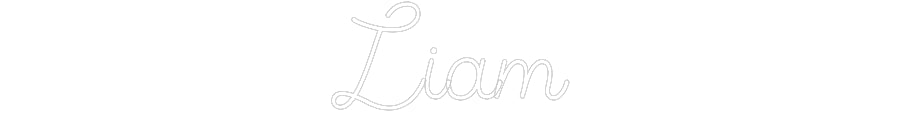 Custom Neon Sign Online Editor Liam