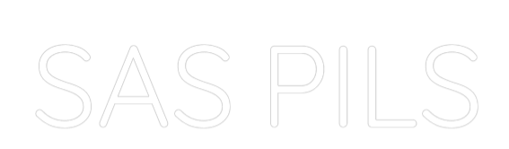 Custom Neon Sign Online Editor SAS PILS