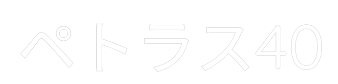 Custom Neon Sign Online Editor ペトラス40