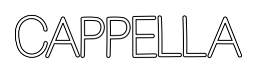Omridsbillede
