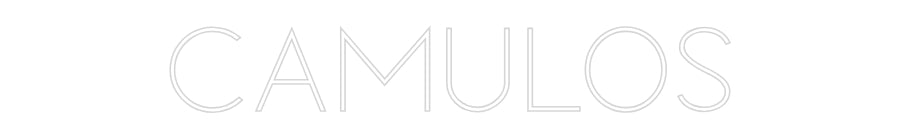 Custom Neon Sign Online Editor CAMULOS