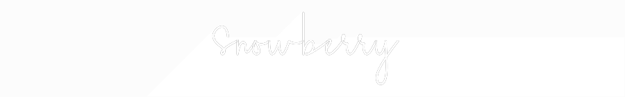 Custom Neon Sign Online Editor snowberry