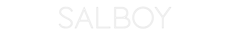 Custom Neon Sign Online Editor SALBOY