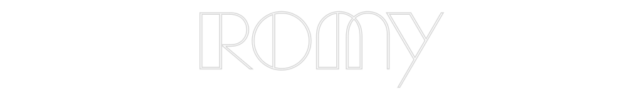 Custom Neon Sign Online Editor ROMY