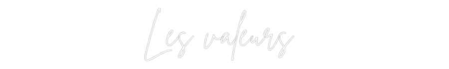 Custom Neon Sign Online Editor Les valeurs