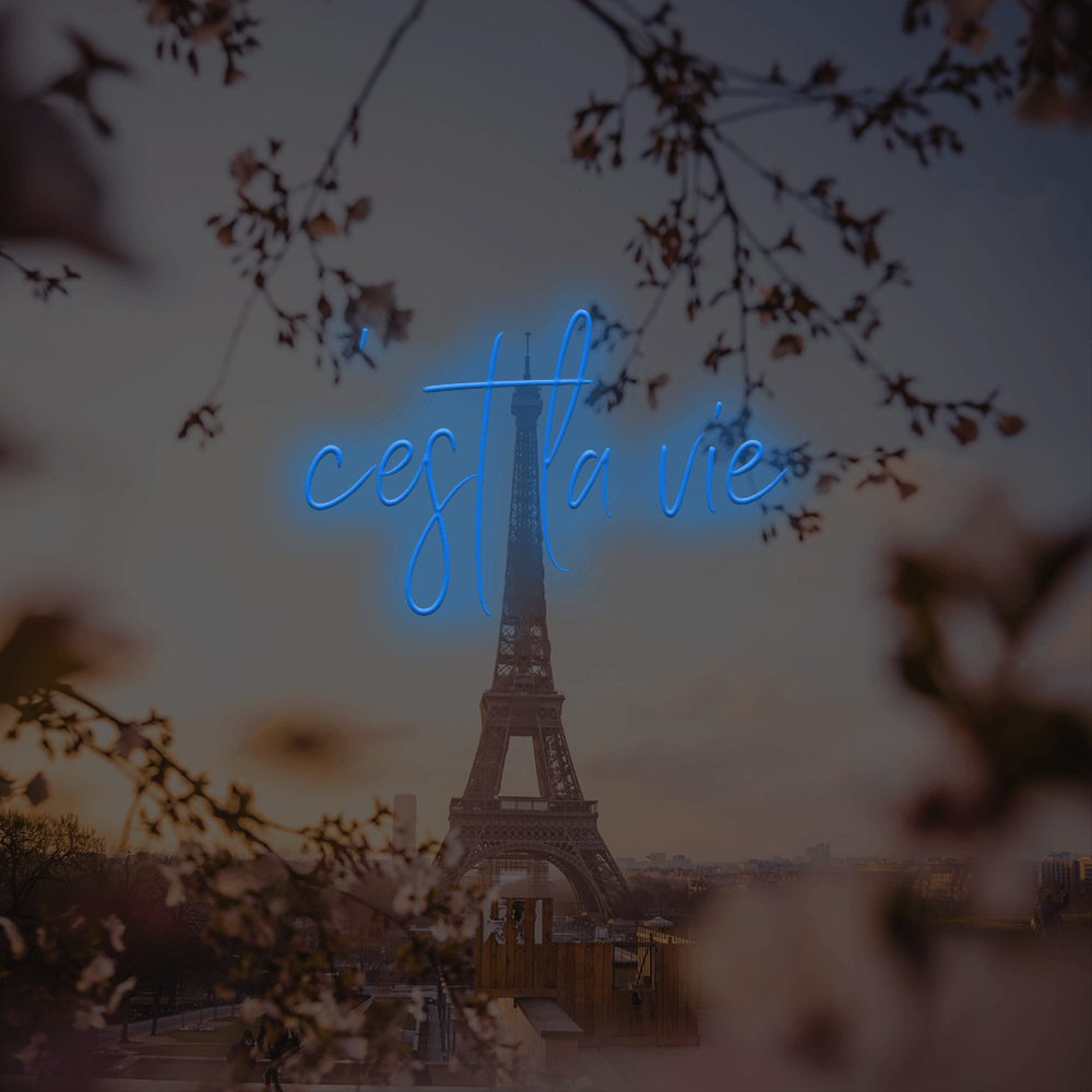 C' est La Vie French LED Neon Sign-Made in London Neon Signs