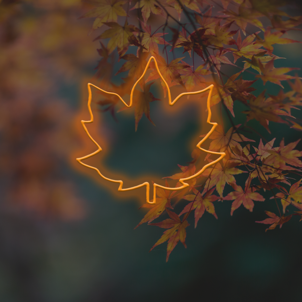 Maple Leaf - Señal de neón de neón LED interior de otoño en Londres