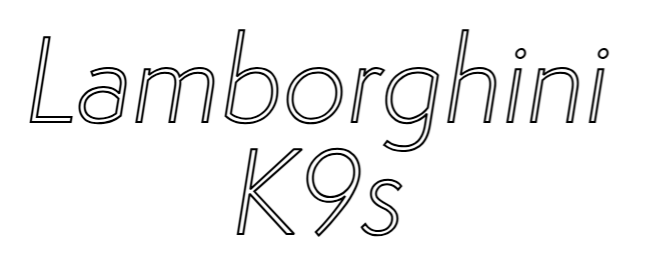 Konturbild