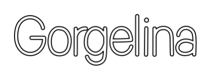 Omridsbillede