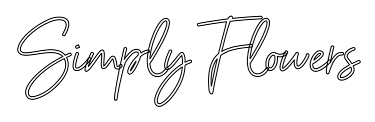 Immagine di contorno