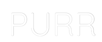 Custom Neon Sign Online Editor PURR