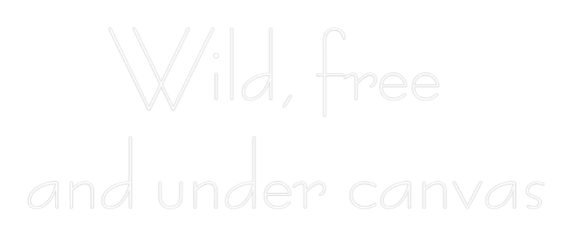 Custom Neon Sign Online Editor Wild, free 
...