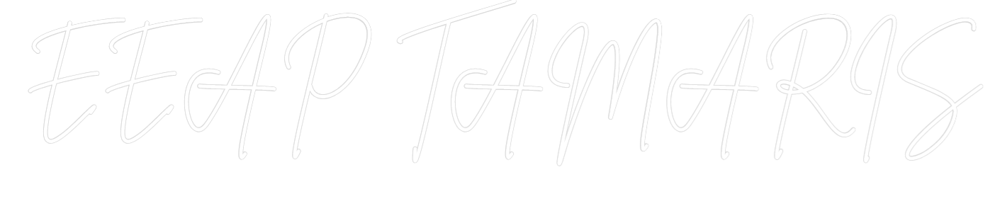Custom Neon Sign Online Editor EEAP TAMARIS