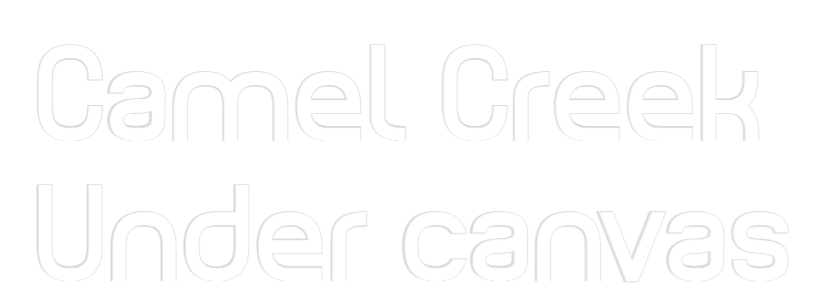 Custom Back Lit Neon Sign Online Editor Camel Creek ...