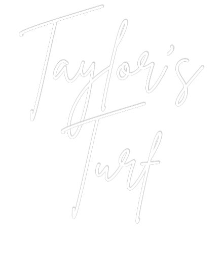 Editor online di insegne al neon personalizzate Taylor's
Erba