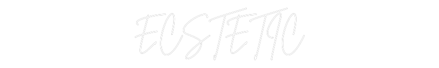 Custom Neon Sign Online Editor ECSTETIC